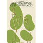 Que tan Grande es tu Esperanza - Paperback