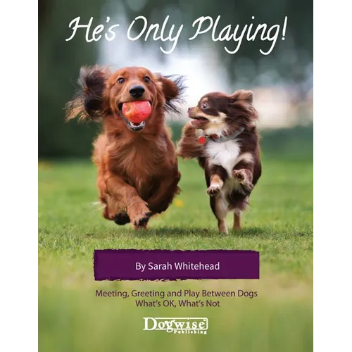 He's Only Playing: Meeting, Greeting and Play Between Dogs. What's Ok, What's Not. - Paperback
