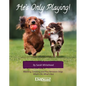 He's Only Playing: Meeting, Greeting and Play Between Dogs. What's Ok, What's Not. - Paperback