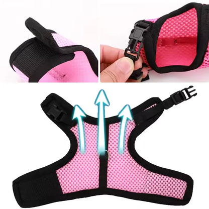 Breathable Mesh Vest Harness with Adjustable Soft Straps & Elastic Leash for Rabbits, Cats & Small Pets