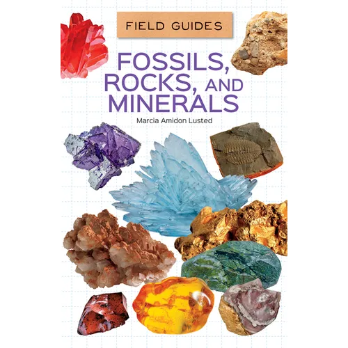 Fossils, Rocks, and Minerals - Library Binding