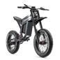 Adult 1500W Electric Fat-Tire Mountain Ebike 60V 30Ah Lithium Battery 20-inch (50.8 cm) Wheels 31-60 km Range 50+ km/h