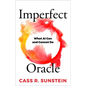 Imperfect Oracle: What AI Can and Cannot Do - Hardcover