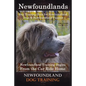 Newfoundlands Dog Training Book for Newfoundland Dogs & Newfoundland Puppies by D!G THIS DOG Training: Newfoundland Training Begins From the Car Ride - Paperback