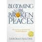 Blooming in Broken Places: The Journey to Abundant Life through Brokenness - Paperback