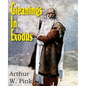 Gleanings in Exodus - Paperback
