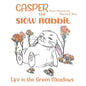 Casper the Slow Rabbit: Life in the Green Meadows - Paperback