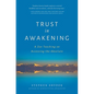 Trust in Awakening: A Zen Teaching on Accessing the Absolute - Paperback