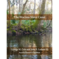 The Wacissa Slave Canal - Paperback