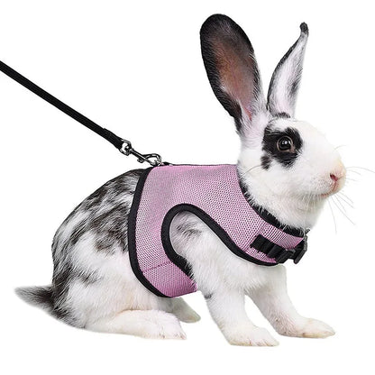 Breathable Mesh Vest Harness with Adjustable Soft Straps & Elastic Leash for Rabbits, Cats & Small Pets