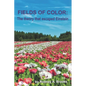 Fields of Color: The Theory that Escaped Einstein - Paperback