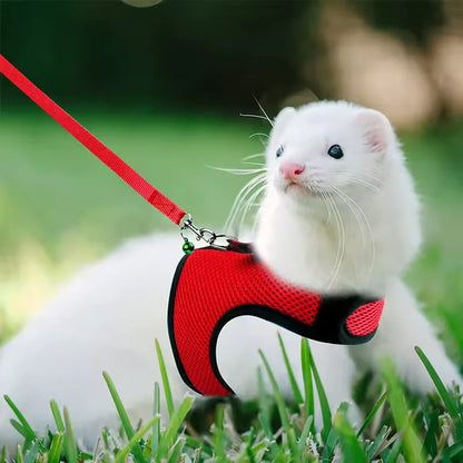 Breathable Mesh Vest Harness with Adjustable Soft Straps & Elastic Leash for Rabbits, Cats & Small Pets
