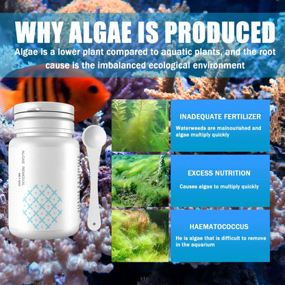 Aquarium Algae Tablets 50-Pack with Spoon, Fish Tank Algaecide Moss & Odor Remover Water Purifier