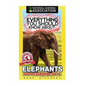 Everything You Should Know About: Elephants Faster Learning Facts - Paperback