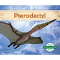 Pterodactyl (Spanish Version) - Library Binding