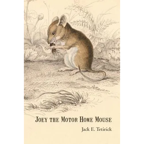 Joey the Motor Home Mouse - Paperback