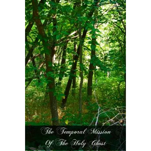 The Temporal Mission Of The Holy Ghost: Reason And Revelation - Paperback