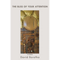 The Bliss of Your Attention: Stories - Paperback