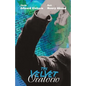 The Velvet Oratorio - Paperback