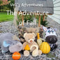 Veli's Adventures: The Adventure of Fall - Paperback