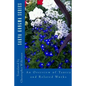 An Overview of Tantra and Related Works - Paperback