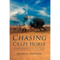 Chasing Crazy Horse: A Wasichu Interpretation of the Lakota Tragedy - Hardcover