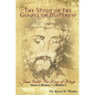 The Study of the Gospel of Matthew: Jesus Christ: The King of Kings Vol. 1 - Paperback