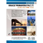 Planning and Control Using Oracle Primavera P6 Versions 8.1 to 15.1 PPM Professional - Chinese Text - Paperback