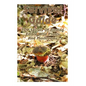 Survival Guide: TOP Secrets Of Finding Edible Wild Plants And Mushrooms: (Edible Wild Plants, Edible Mushrooms, How To Survive) - Paperback
