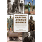 Cheyenne's Capitol Avenue Bronze: History Enshrined - Paperback