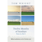 Twelve Months of Sundays Year C: Reflections On Bible Readings - Paperback