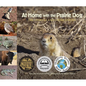 At Home with the Prairie Dog: The Story of a Keystone Species - Hardcover