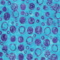 Aqua Bubble Celebration Cotton 44/45 Fabric Per Yard