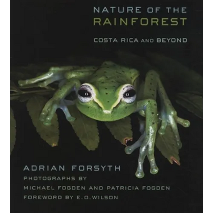 Nature of the Rainforest: Costa Rica and Beyond - Paperback