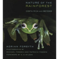Nature of the Rainforest: Costa Rica and Beyond - Paperback