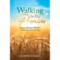 Walking In His Promises: Money Mindset Reset for the Believer - Paperback