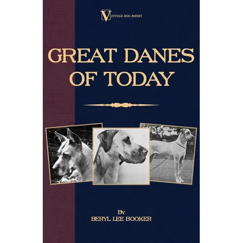 Great Danes of Today - Paperback