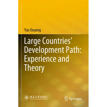 Large Countries' Development Path: Experience and Theory - Paperback