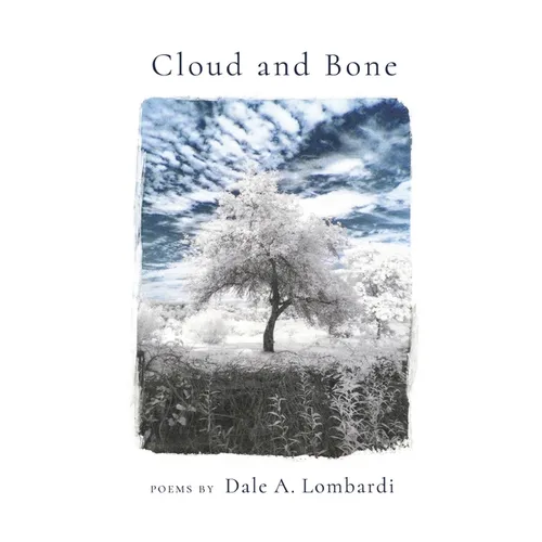 Cloud and Bone - Paperback