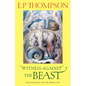 Witness Against the Beast: William Blake and the Moral Law - Paperback