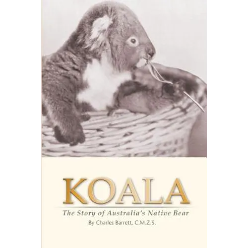 Koala: The Story of Australia's Native Bear - Paperback
