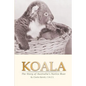 Koala: The Story of Australia's Native Bear - Paperback