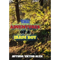 The Adventures of a Farm Boy - Paperback