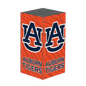 Auburn Xbox VarsityWrapz
