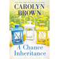 A Chance Inheritance - Paperback