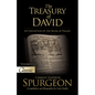 The Treasury of David: An Exposition of the Book of Psalms Volume 2 Psalms 18-27 - Paperback