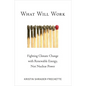 What Will Work: Fighting Climate Change with Renewable Energy, Not Nuclear Power - Paperback