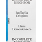 Raffaella Crispino & Hans Demeulenaere: Incomplete Neighbor - Paperback