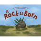 A Rock Is Born: An Epic Journey Through Time - Hardcover