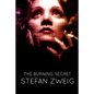 The Burning Secret - Paperback